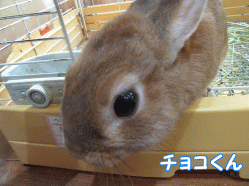 150505r.gif