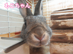 150505s.gif