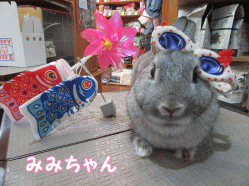 150505d.gif