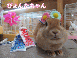 150505e.gif