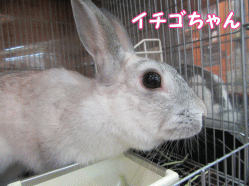 150505h.gif