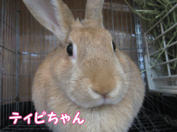 150505i.gif