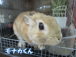 150505k.gif