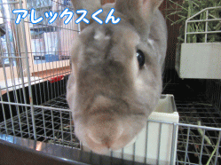 150505l.gif