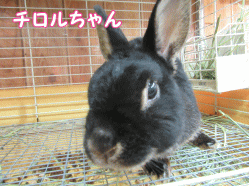 150505m.gif