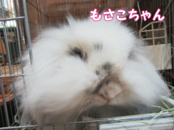 150505n.gif