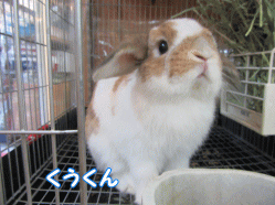 150505p.gif