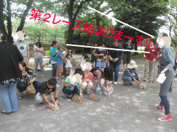 150506s1き6.gif