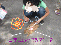 150506s2う16.gif