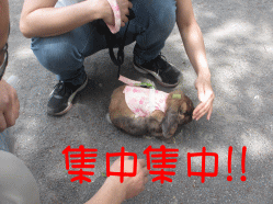 150506s2え17.gif