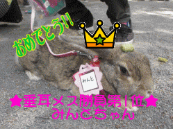 150506s2け21.gif