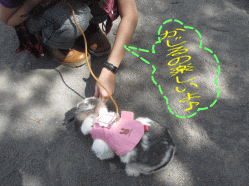 150506s3う24.gif