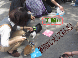 150506s4あ30.gif
