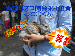 150506s4か34.gif