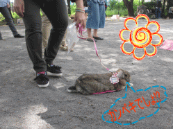 150506s5う40.gif