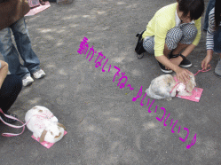 150506s5え41.gif