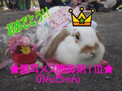 150506s5け45.gif