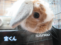 150507a.gif
