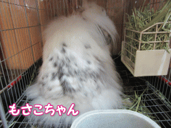 150507c.gif