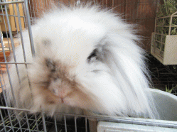 150507d.gif