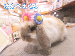 150508a1.gif