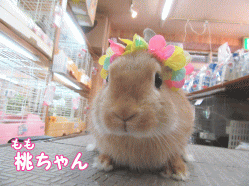 150508b1.gif