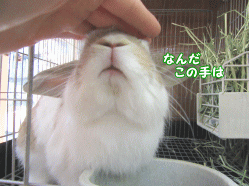 150508c2.gif