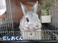 150508d1.gif