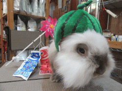 150512b.gif