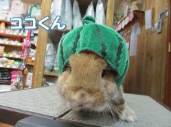 150514k.gif