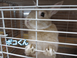 150514m.gif