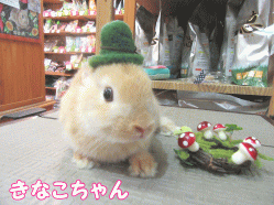 150515c.gif