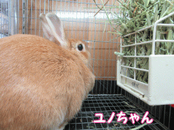 150515d.gif