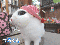 150516a1.gif