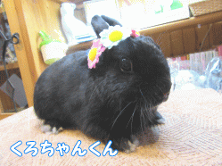150516c1.gif
