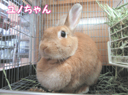 150516e1.gif