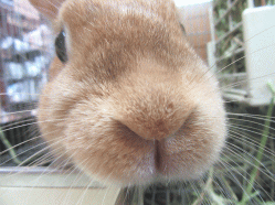 150516e2.gif