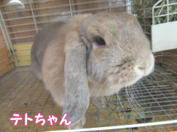 150516f1.gif