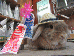 150517b.gif