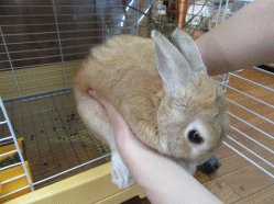 150517p.gif
