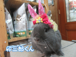 150518e.gif