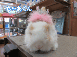 150518g.gif