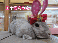 150518i.gif