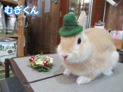 150519a.gif