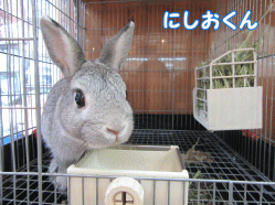 150522a1.gif