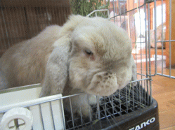150522c2.gif