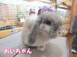 150524b1.gif