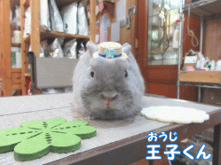 150524c1.gif