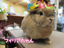 150525a.gif