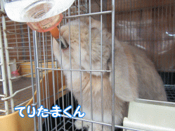 150525e.gif